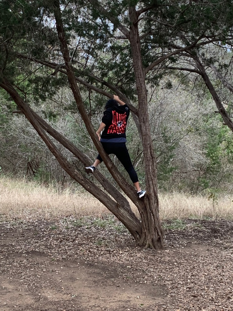 Young Woman Climbing Juniper Tree